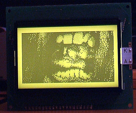 2008.08.20.05.Video.Link.jpg